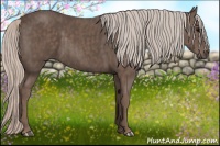 Horse Color:Silver Black Brindle