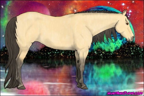 Horse Color: Buckskin Dun  Brindle
