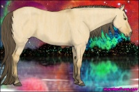 Horse Color:Buckskin Dun  Brindle