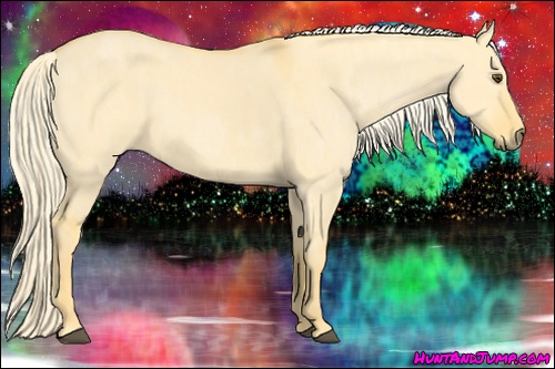 Horse Color: Palomino Dun  Brindle