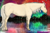 Horse Color:Palomino Dun  Brindle