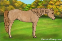 Horse Color:Chestnut  Brindle