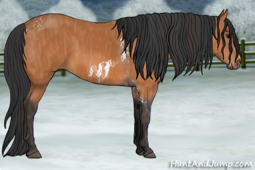 Horse Color: Bay Tobiano Frame  Brindle