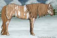 Horse Color:White Spotted Chestnut  Brindle