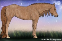 Horse Color:Chestnut Tobiano Frame  Brindle