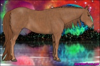 Horse Color:Chestnut  Brindle