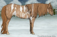 Horse Color:Chestnut Tobiano Frame  Brindle
