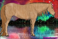 Horse Color:Chestnut  Brindle