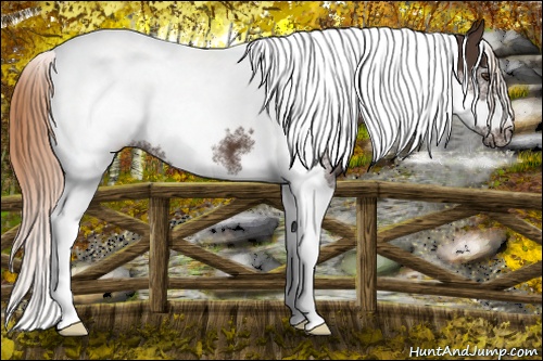 Horse Color: Liver Chestnut Tobiano Frame 