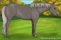 Horse Color:Silver Black 
