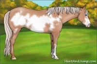 Horse Color:Silver Sable Champagne Frame 