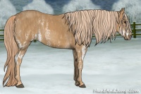 Horse Color:White Spotted Chestnut  Brindle