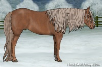 Horse Color:Chestnut  Brindle