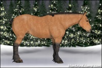 Horse Color:Bay  Brindle