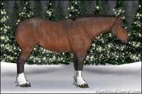 Horse Color:Bay Tobiano  Brindle