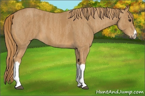 Horse Color: Chestnut  Brindle
