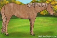 Horse Color:Red Roan Brindle