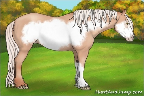 Horse Color: Silver Amber Champagne Frame 