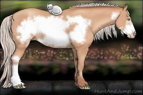 Horse Color: Silver Amber Champagne Frame 