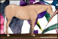 Horse Color:Silver Amber Champagne Frame