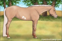 Horse Color:Silver Amber Champagne Frame 