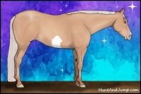Horse Color:Silver Amber Champagne Frame 