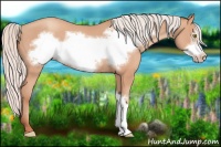 Horse Color:Silver Amber Champagne Frame 