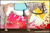 Horse Color:Silver Amber Champagne Frame 