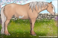 Horse Color:Silver Amber Champagne Frame 