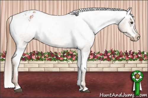 Horse Color: Red Roan Blanket 