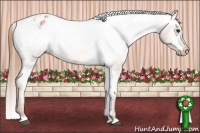 Horse Color:Red Roan Appaloosa 