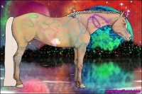 Horse Color:Silver Amber Champagne Frame