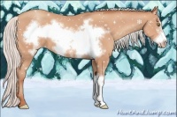 Horse Color:Silver Amber Champagne Frame 