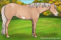 Horse Color:Silver Amber Champagne Frame