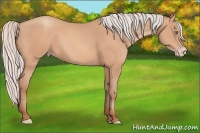 Horse Color:Silver Amber Champagne Frame 
