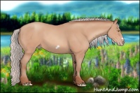 Horse Color:Silver Amber Champagne Frame 