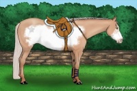 Horse Color:Silver Amber Champagne Frame 