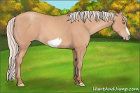 Horse Color:Silver Amber Champagne Frame 