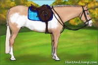 Horse Color:Silver Amber Champagne Frame 
