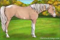 Horse Color:Silver Amber Champagne Tobiano Frame 