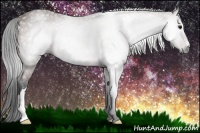 Horse Color:Gray Bay