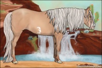 Horse Color:Silver Amber Champagne Frame 