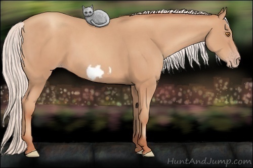 Horse Color: Silver Classic Champagne Frame 