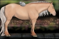 Horse Color:Silver Amber Champagne Frame 