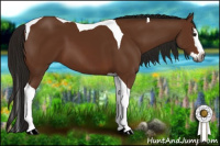 Horse Color:Gray Bay Splash Tobiano 