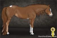 Horse Color:Gray Chestnut Splash Tobiano 