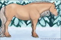 Horse Color:Silver Amber Champagne Frame 