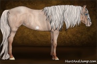 Horse Color:Silver Sable Champagne Roan Frame 