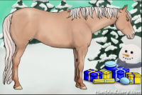 Horse Color:Silver Amber Champagne Frame 