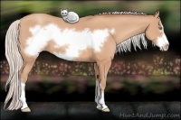 Horse Color:Silver Amber Champagne Frame 